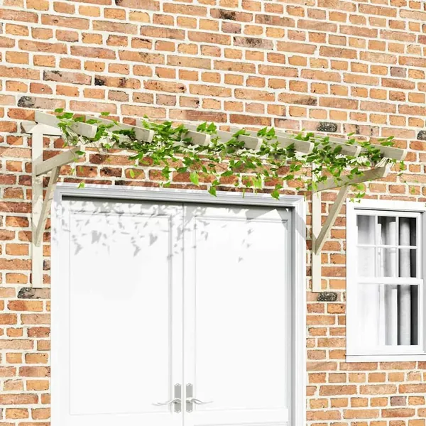 Auvent de porte 200x100x100 cm Bois de pin solide