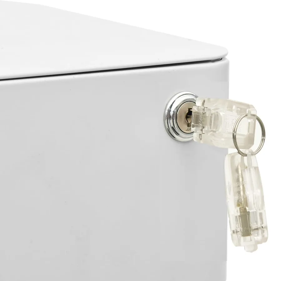 Classeur mobile Gris clair 30x45x59 cm Acier - 11