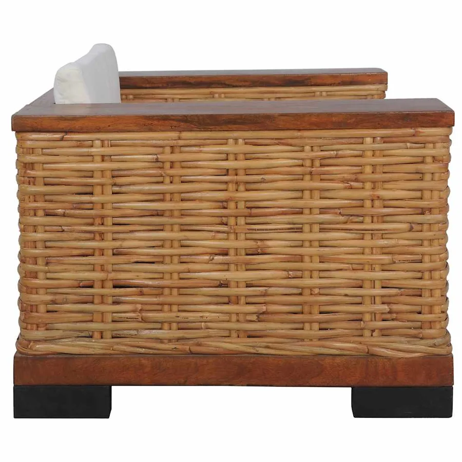 Fauteuil avec coussins Marron Rotin naturel - 4
