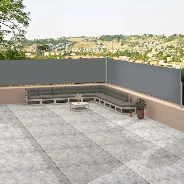Auvent latéral rétractable Anthracite 117x1200 cm