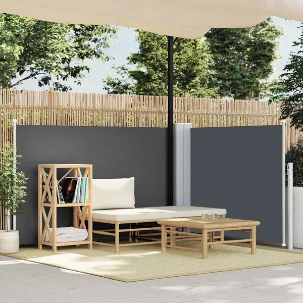 Auvent latéral rétractable Anthracite 100 x 600 cm