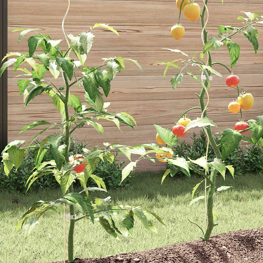 Supports de plantes en spirale 5 pcs Acier galvanisé 110 cm - 4