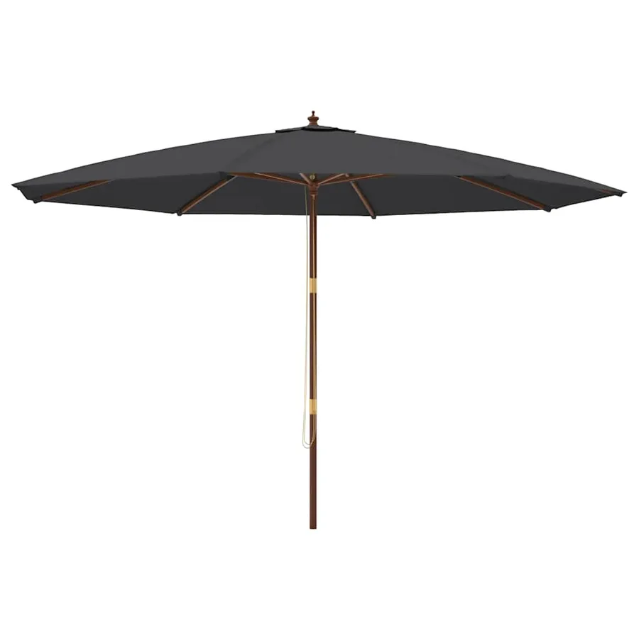 Parasol de jardin avec mât en bois noir 400x273 cm - 2