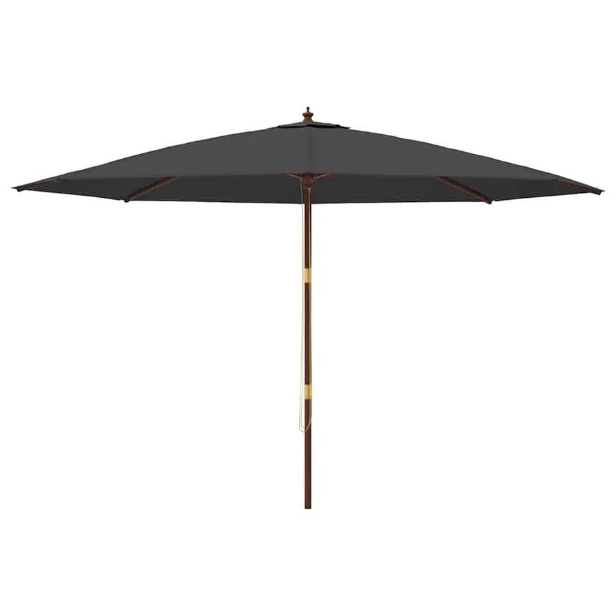 Parasol de jardin avec mât en bois noir 400x273 cm - 3