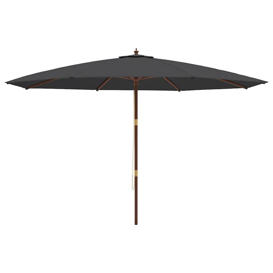 Parasol de jardin avec mât en bois noir 400x273 cm - 4