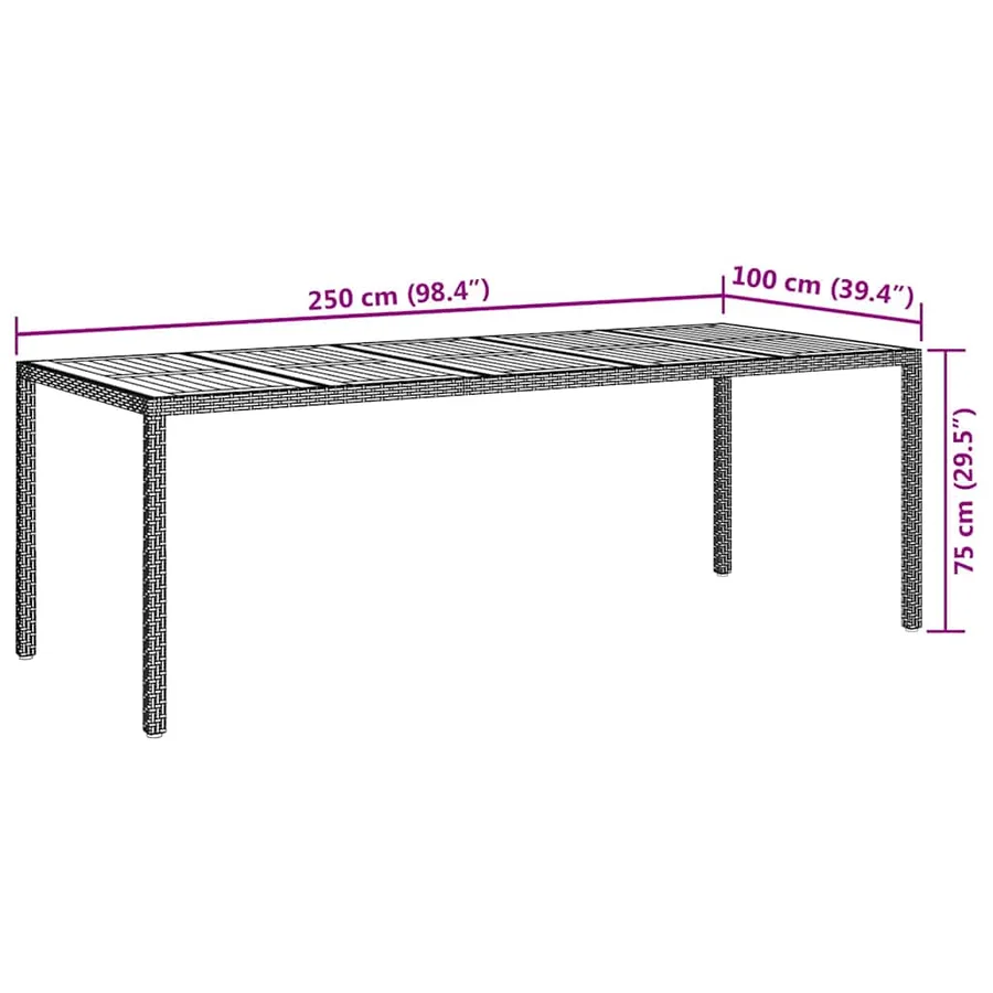 Table de Jardin Noir 250 x 100 x 75 cm polyrotin - 7