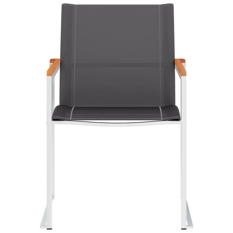 Chaises de jardin lot de 2 Textilène et acier inoxydable Gris - 3