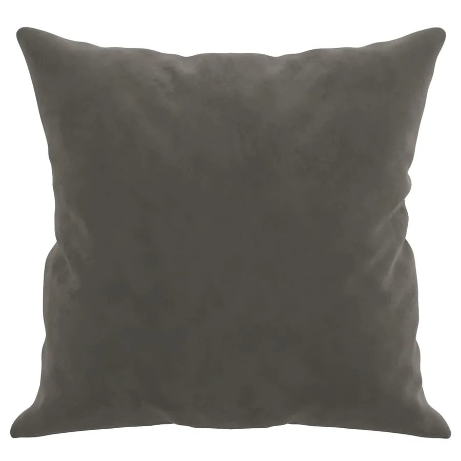 Coussins décoratifs lot de 2 Gris foncé 40x40 cm Velours - 4