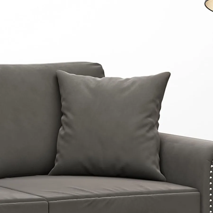 Coussins décoratifs lot de 2 Gris foncé 40x40 cm Velours - 5
