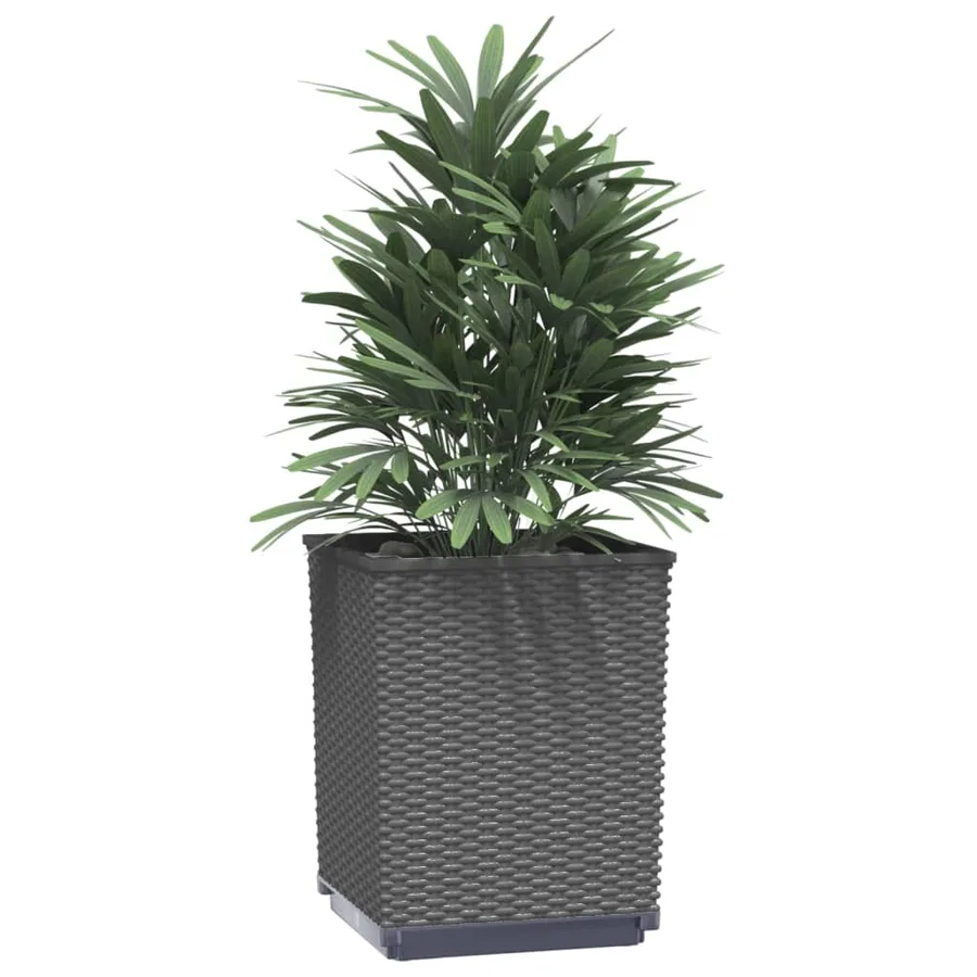 Jardinières 4 pcs noir 30x30x37 cm polypropylène - 3