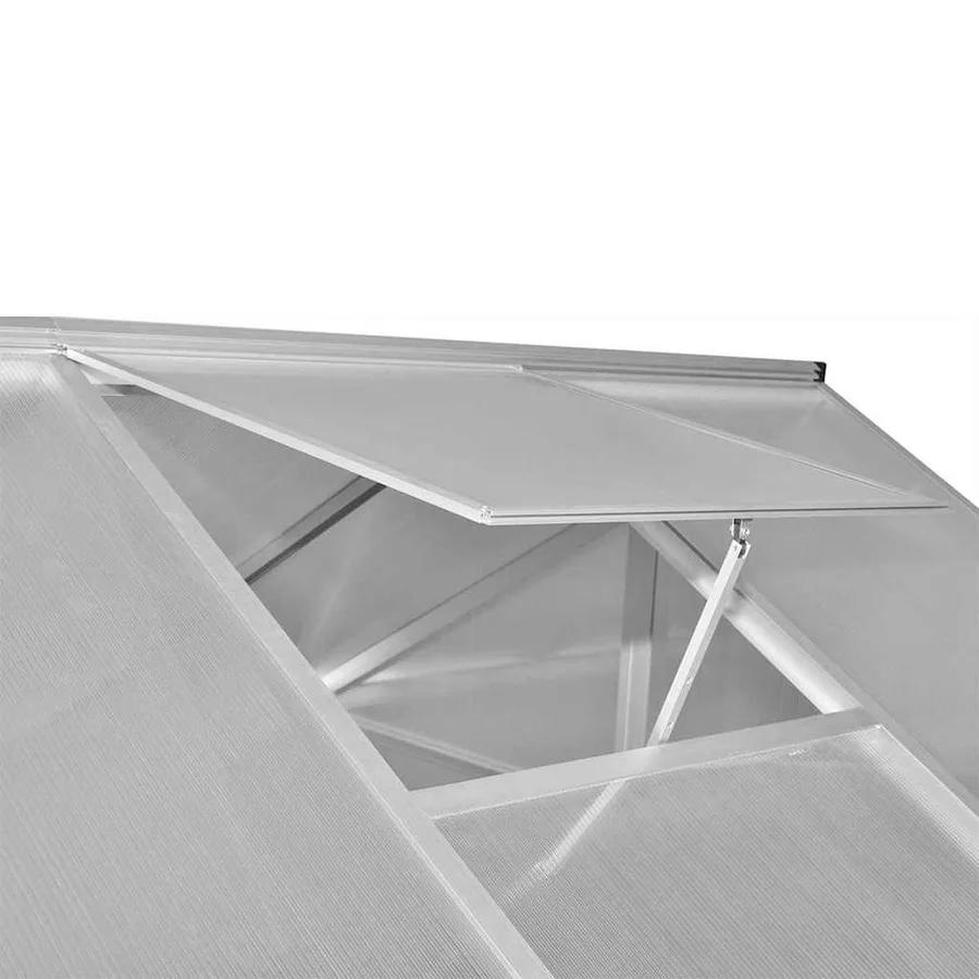 Serre renforcée en aluminium avec cadre de base 9,025 m² - 6