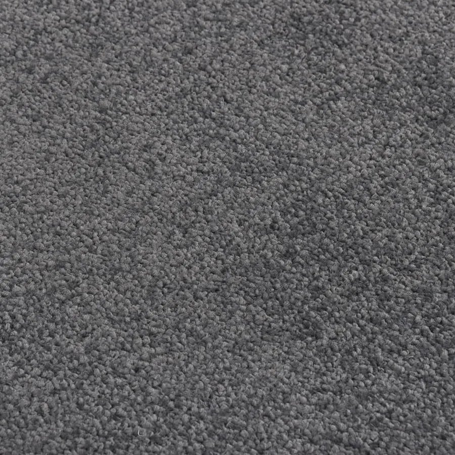 Paillasson Anthracite 40x60 cm - 5
