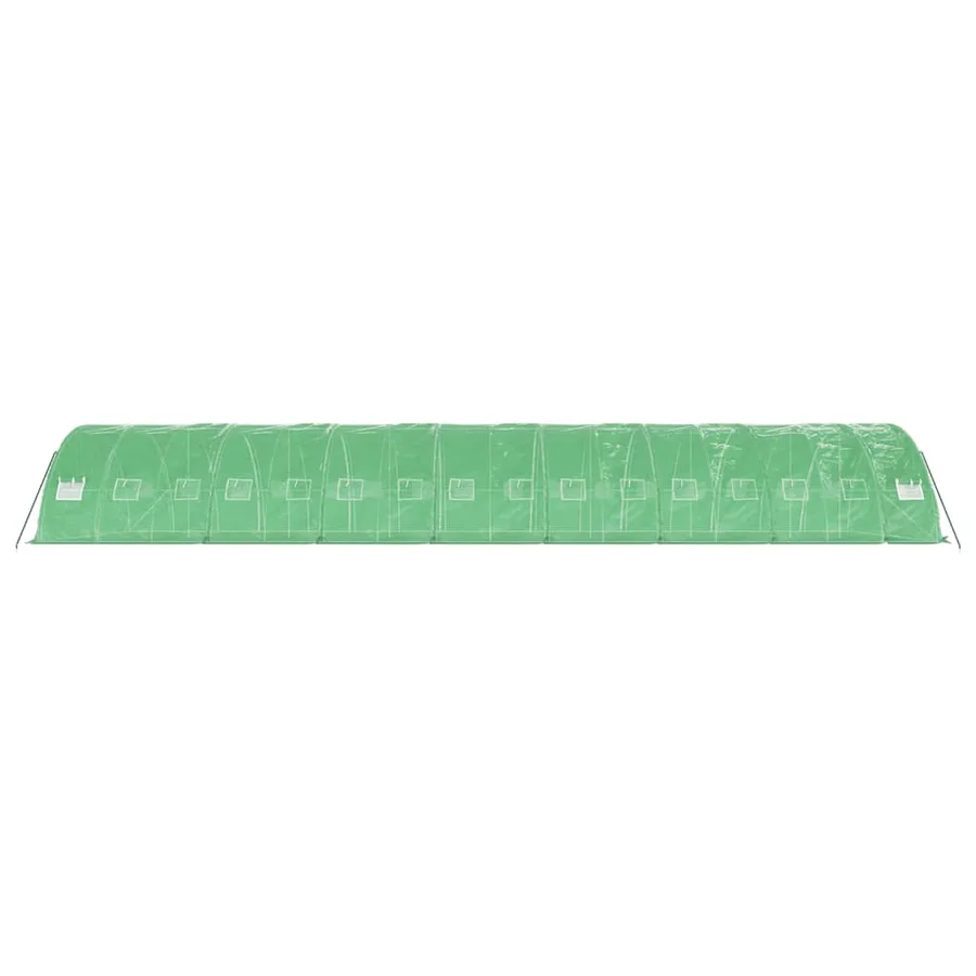Serre avec cadre en acier vert 80 m² 16x5x2,3 m - 5