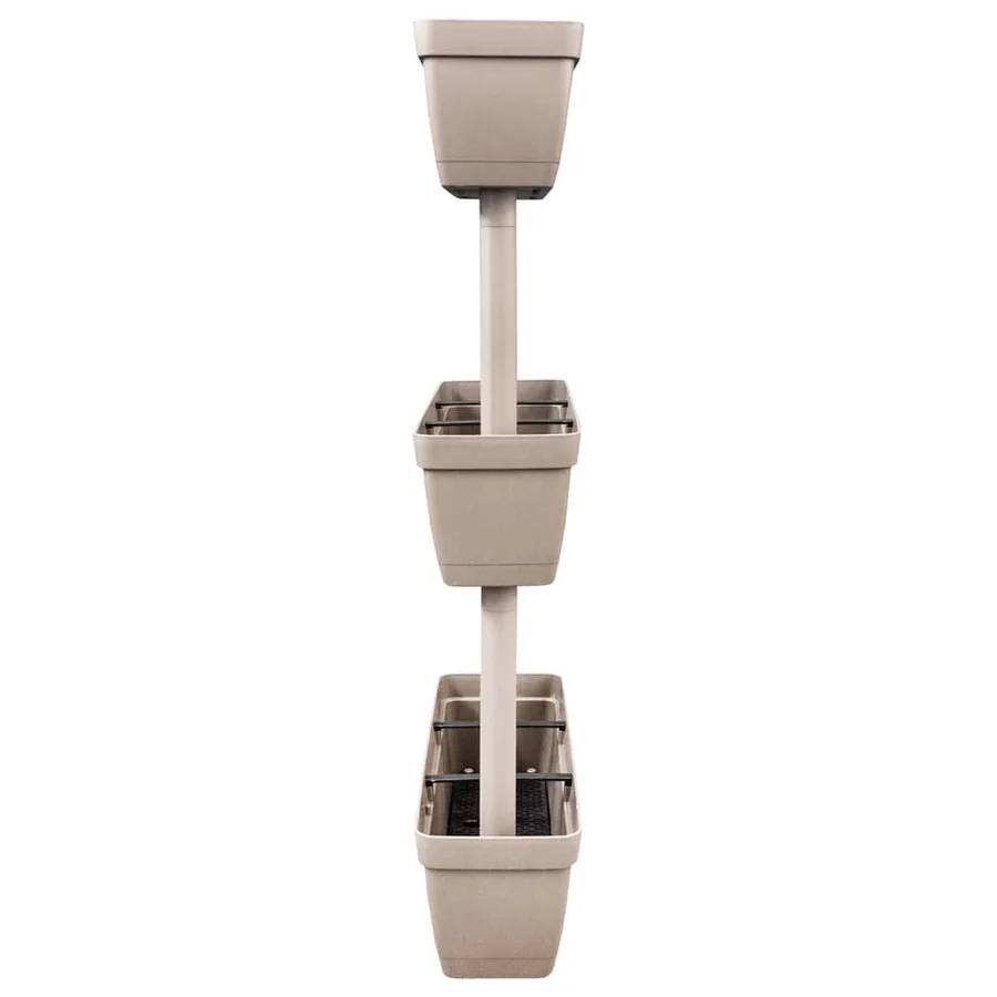 Jardinières 6 pcs 100 cm Taupe - 4