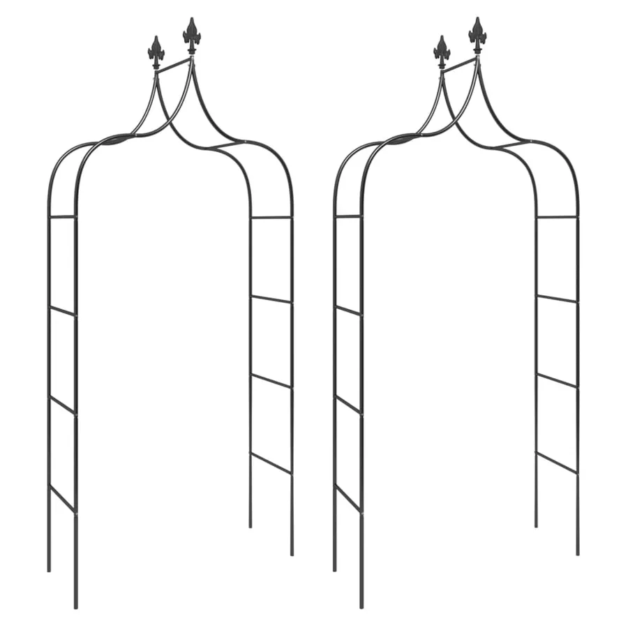 Arches de jardin 2 pcs Noir 120x38x260 cm Acier - 2