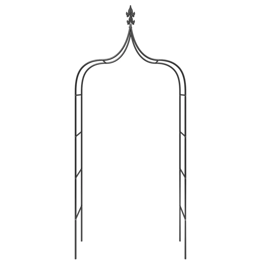 Arches de jardin 2 pcs Noir 120x38x260 cm Acier - 4