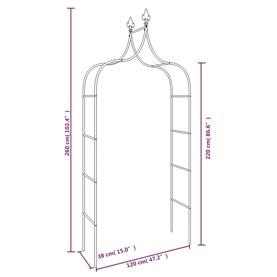 Arches de jardin 2 pcs Noir 120x38x260 cm Acier - 7