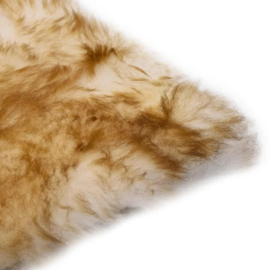 Coussins de chaise lot de 2 Mélange de marron Mouton véritable - 3