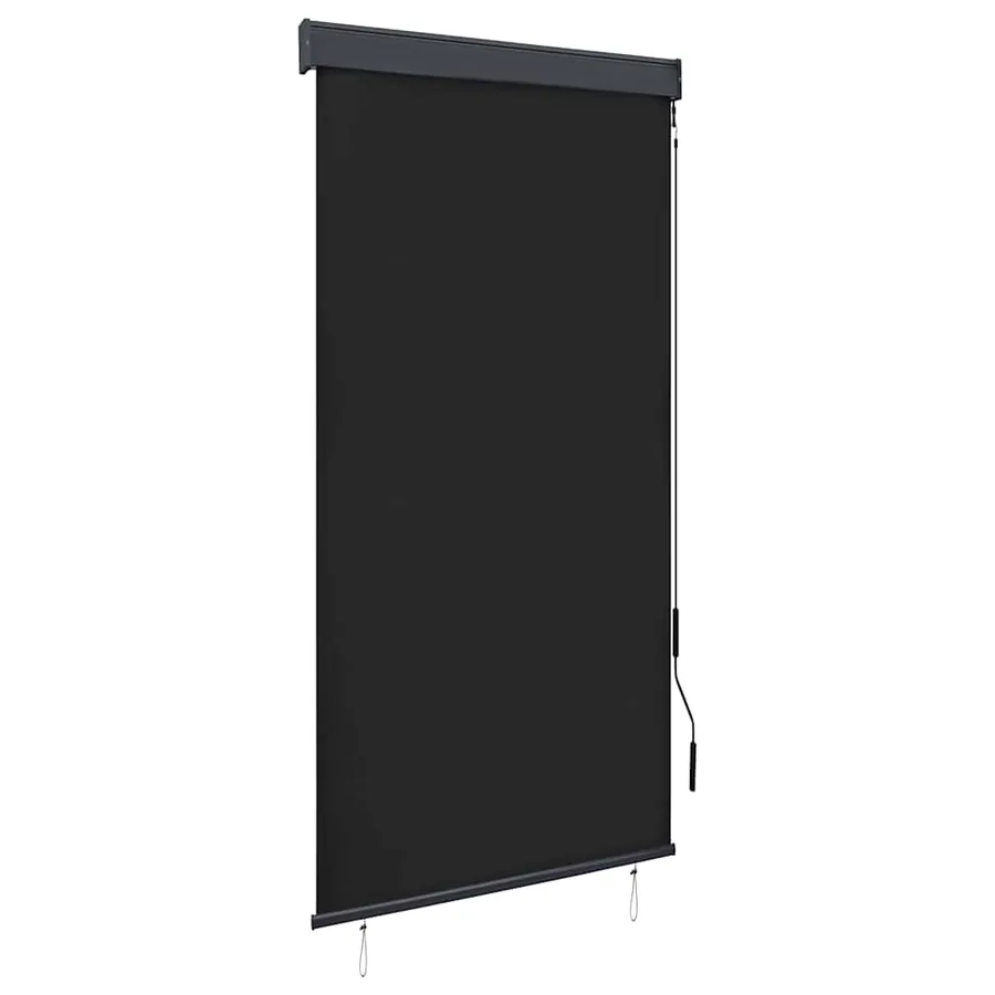 Store roulant d'extérieur 80 x 250 cm Anthracite