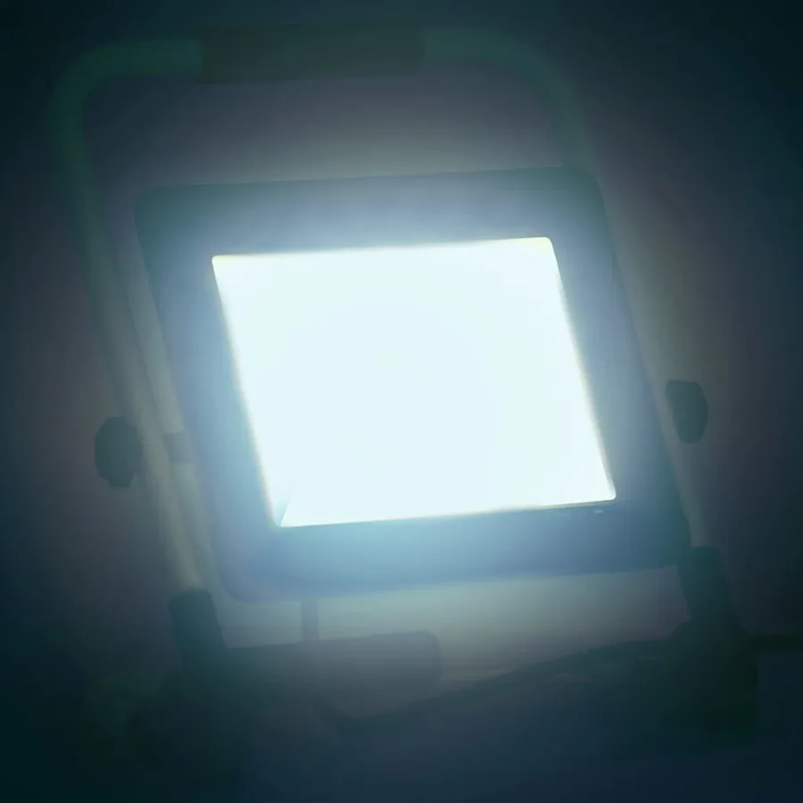 Projecteur à LED avec poignée 100 W Blanc froid - 2