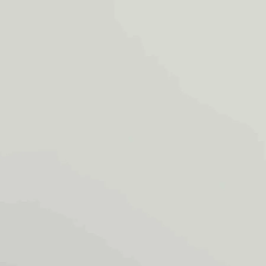 Classeur gris clair 90x40x200 cm acier - 9