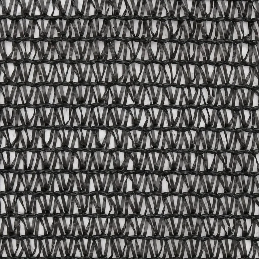 Filet brise-vue PEHD 2 x 10 m Noir - 3