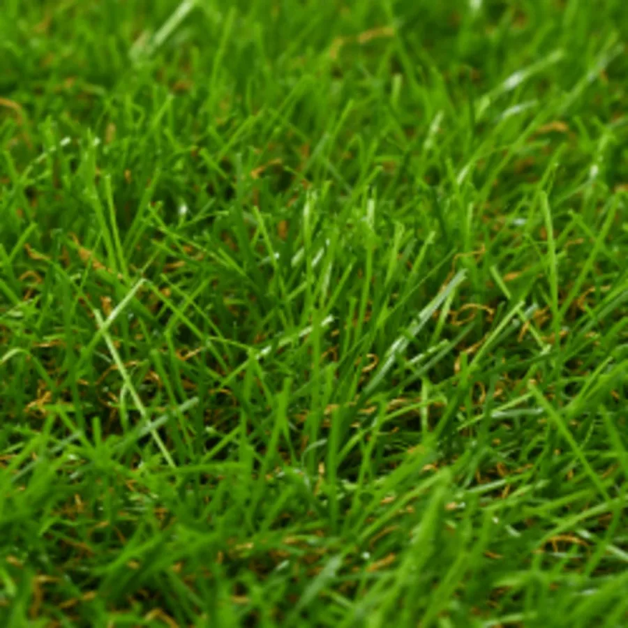 Gazon artificiel 1x15 m/40 mm Vert - 2