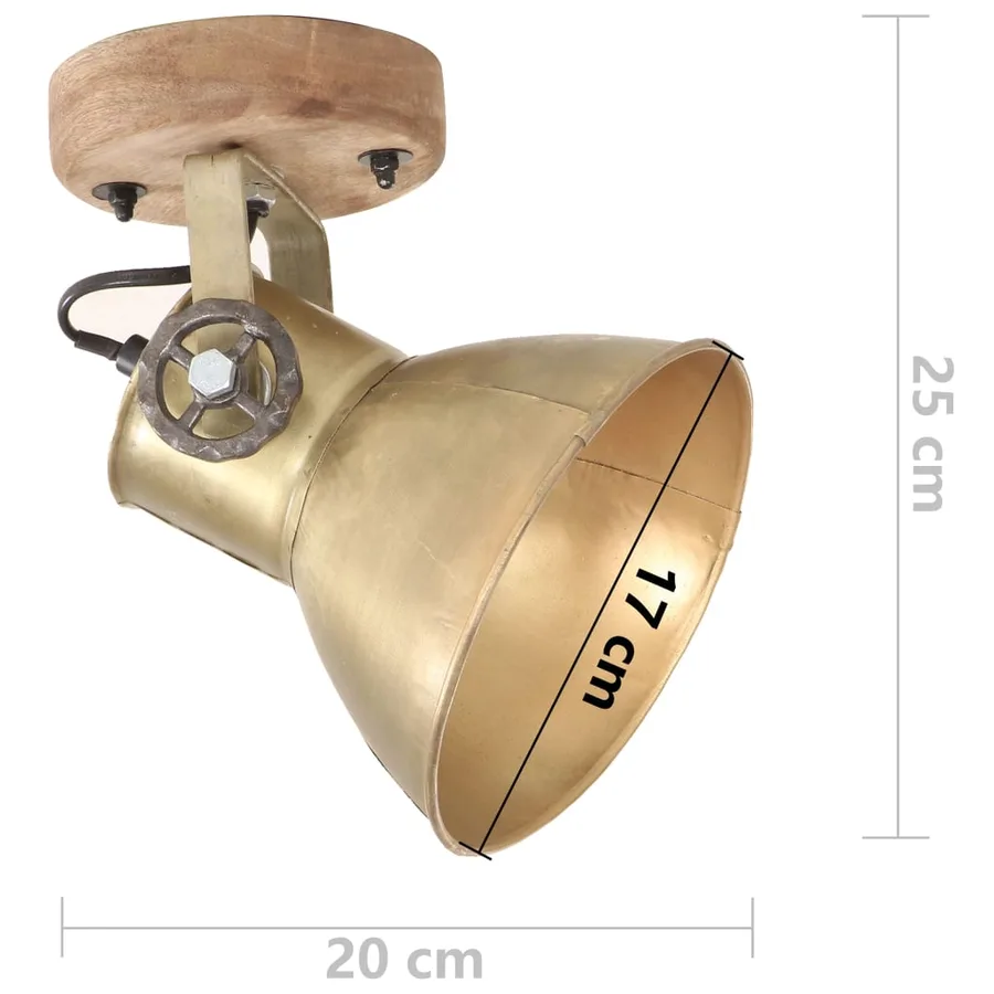 Lampe murale industrielle/de plafond 2 pcs Laiton 20x25 cm E27 - 9