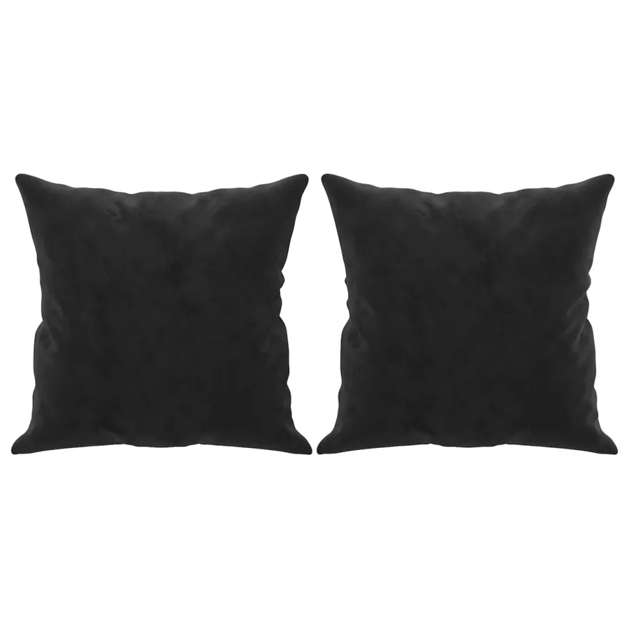 Coussins décoratifs lot de 2 Noir 40x40 cm Velours - 2