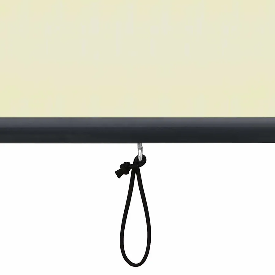 Store roulant d'extérieur 60 x 250 cm Crème - 8