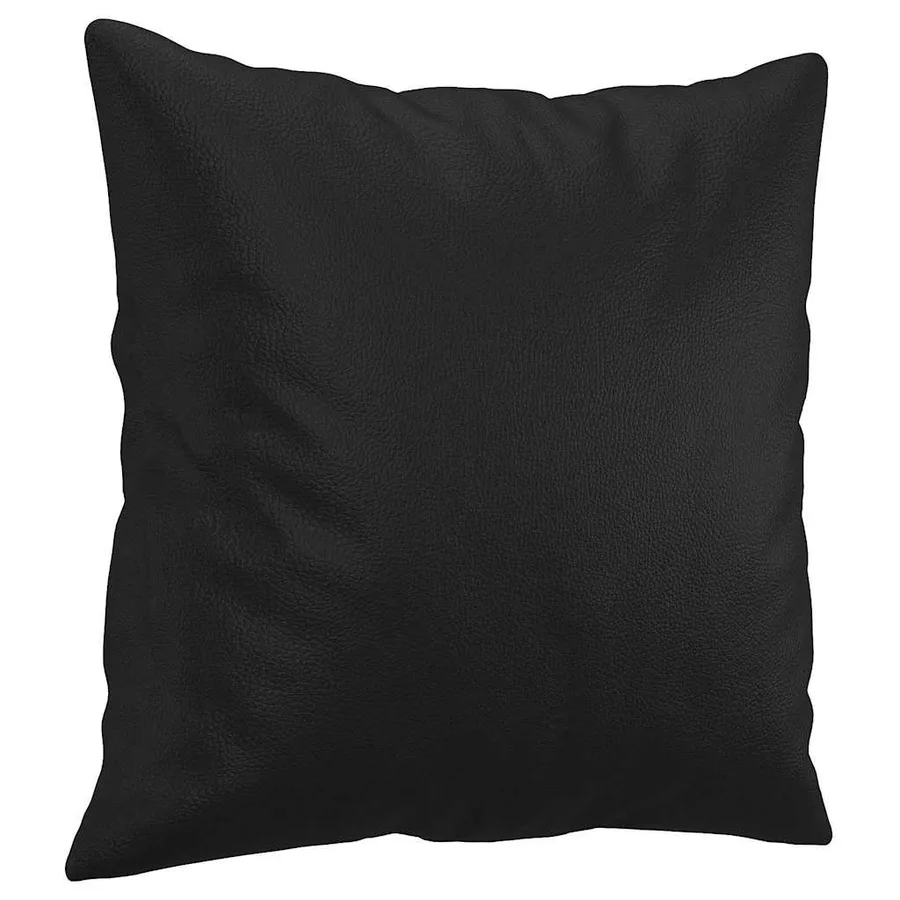 Coussins décoratifs lot de 2 Noir 40x40 cm Similicuir - 3