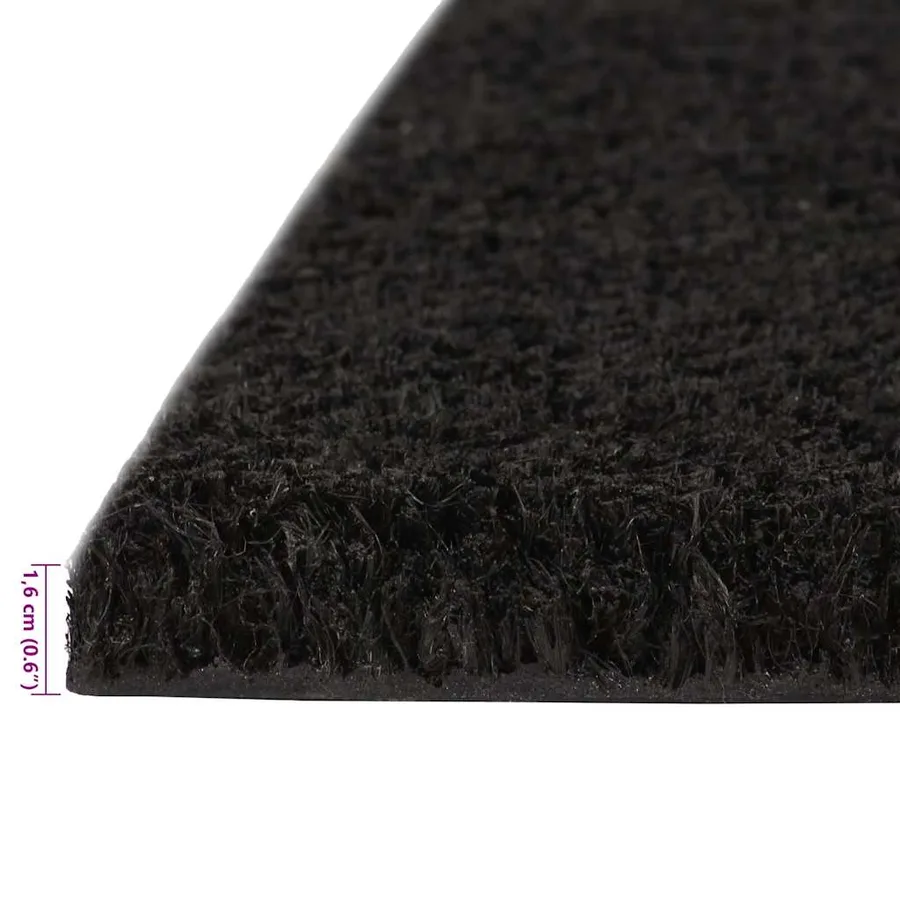 Tapis de porte 2 pcs noir 40x60 cm fibre de coco touffeté - 6