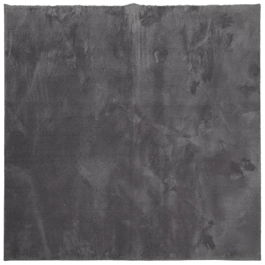 Tapis HUARTE à poils courts doux lavable anthracite 240x240 cm - 2
