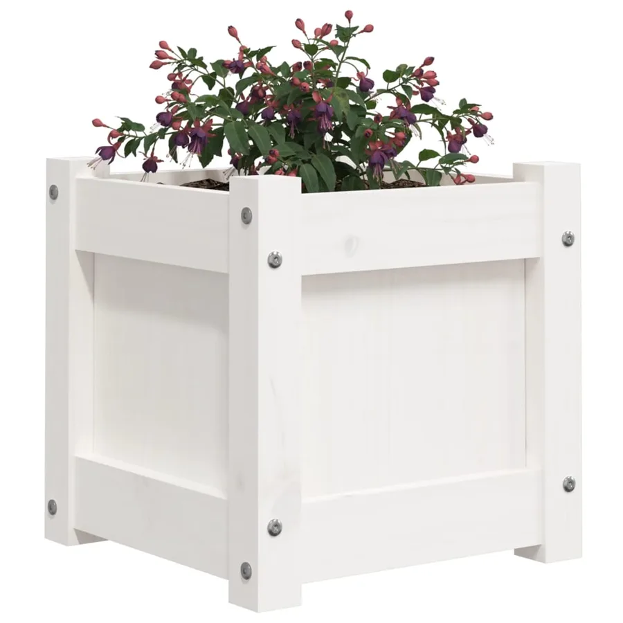 Jardinière blanc 31x31x31 cm bois de pin massif - 4
