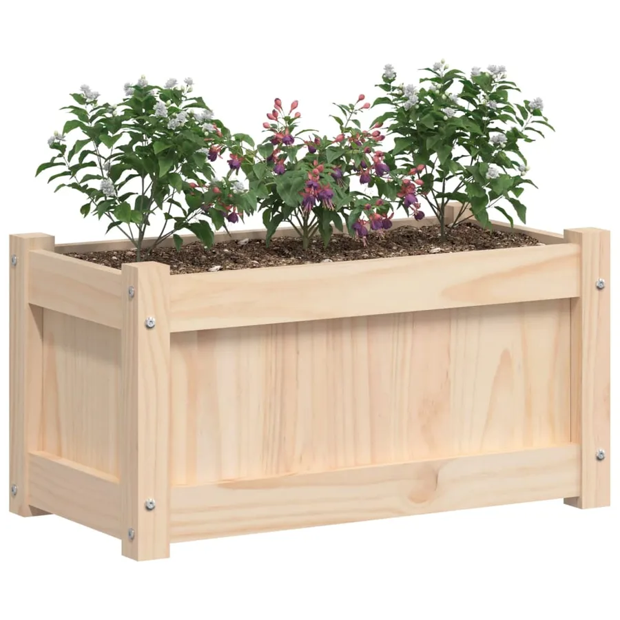 Jardinière d'extérieur 60x31x31 cm bois de pin massif - 4