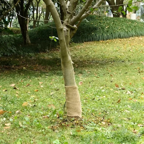 Rouleau de jute 0,25x50 m 100 % jute 200 g/m²
