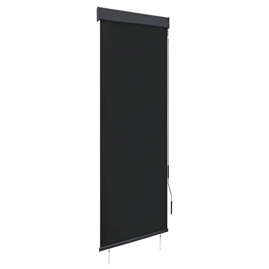 Store roulant d'extérieur 60 x 250 cm Anthracite