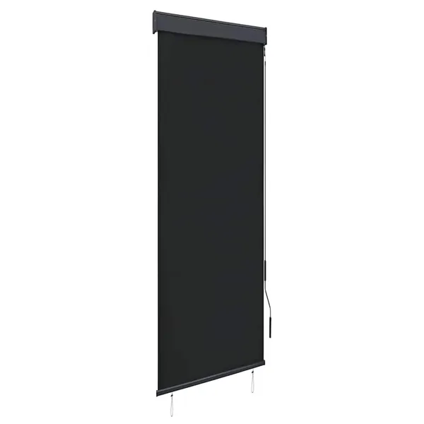 Store roulant d'extérieur 60 x 250 cm Anthracite