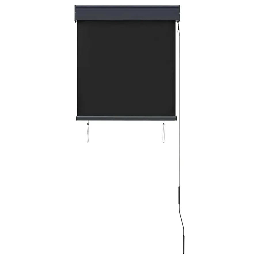 Store roulant d'extérieur 60 x 250 cm Anthracite - 4