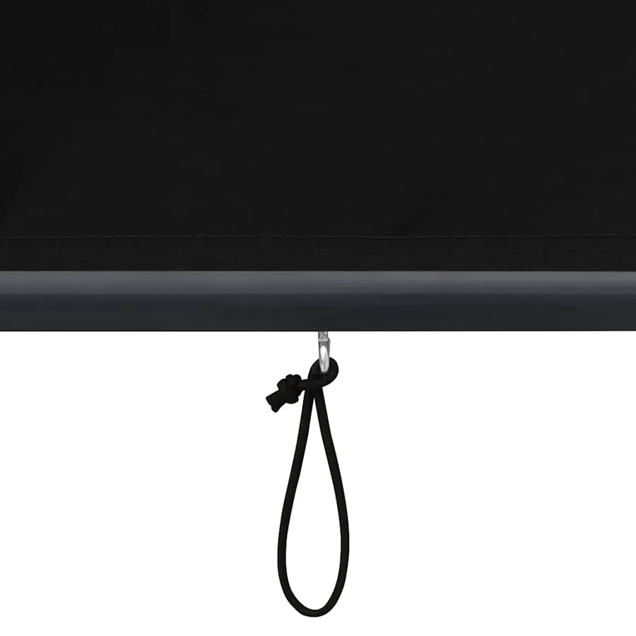 Store roulant d'extérieur 60 x 250 cm Anthracite - 8