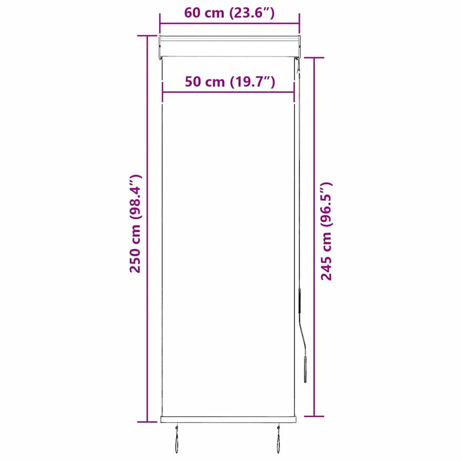 Store roulant d'extérieur 60 x 250 cm Anthracite - 9