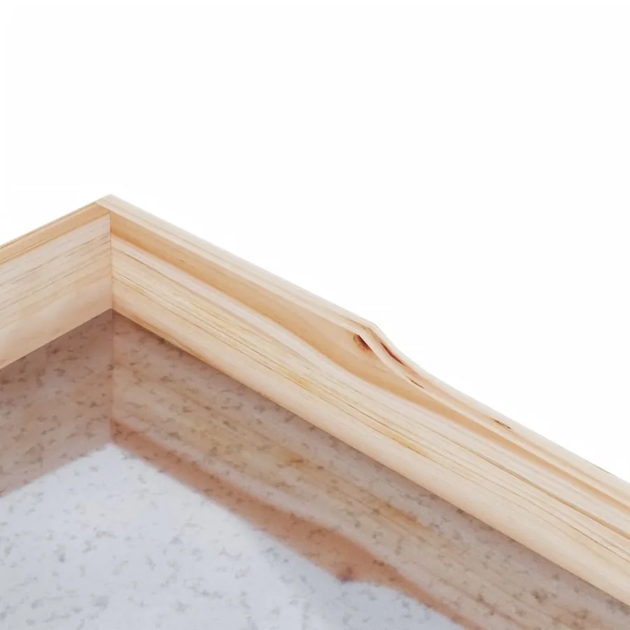 Table à plantes avec étagères 78x38x82,5cm bois de sapin solide - 7