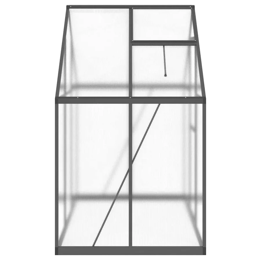 Serre avec cadre de base anthracite 169x114x195 cm aluminium - 4