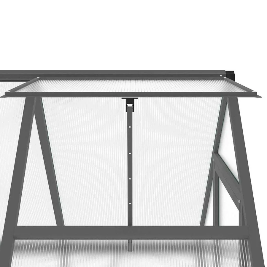 Serre avec cadre de base anthracite 169x114x195 cm aluminium - 9