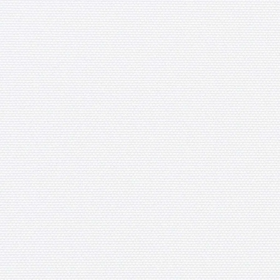 Auvent latéral rétractable blanc 220x600 cm - 9