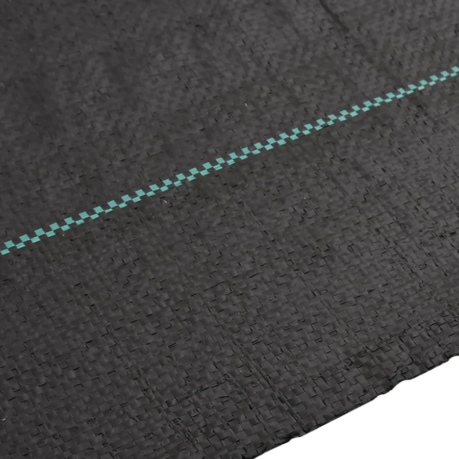 Membrane anti-mauvaises herbes noir 2x100 m PP - 4