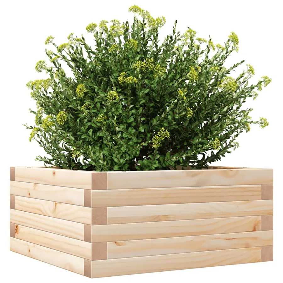 Jardinière 50x50x23 cm bois de pin massif - 4