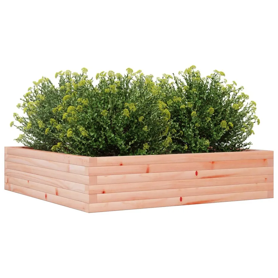 Jardinière 100x100x23 cm bois massif de douglas - 4
