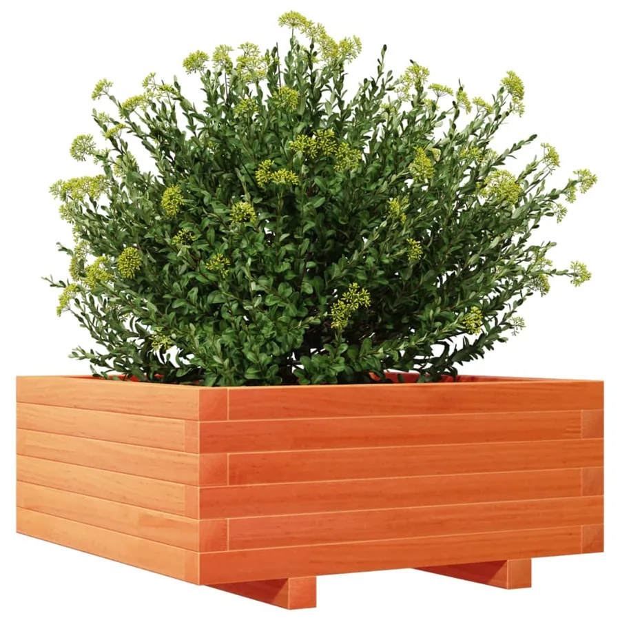 Jardinière cire marron 60x60x26,5 cm bois de pin massif - 4