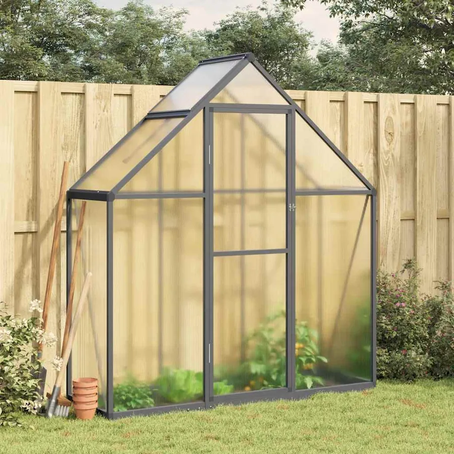 Serre avec cadre de base anthracite 169x58x195 cm aluminium